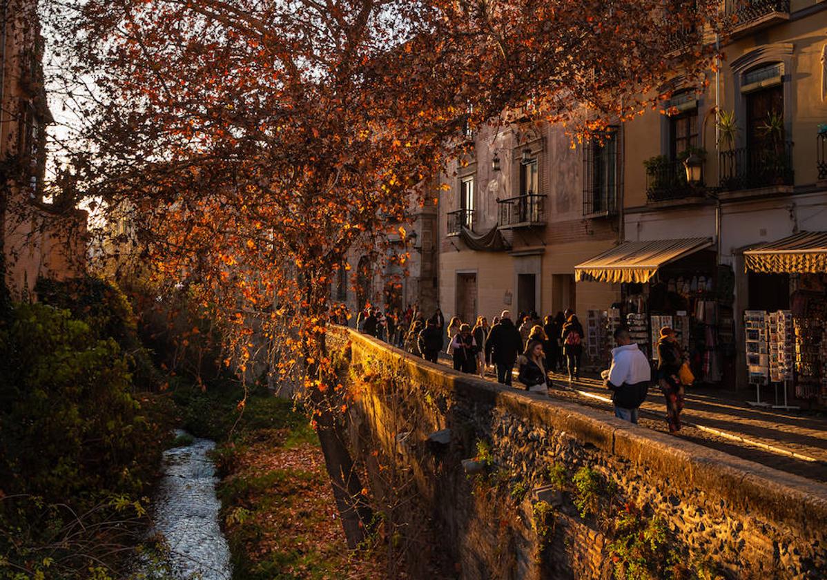 La historia tras la espectacular foto viral de la Carrera del Darro de